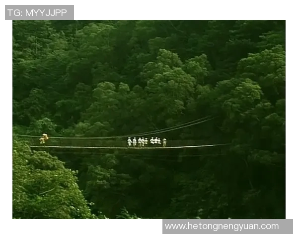 足球明星的荣耀与挑战:从绿茵场到人生舞台的精彩旅程